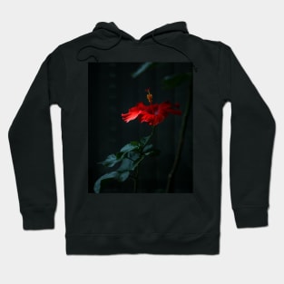 Hibiscus 2 Hoodie